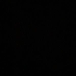 Meet your Posher, Sienna